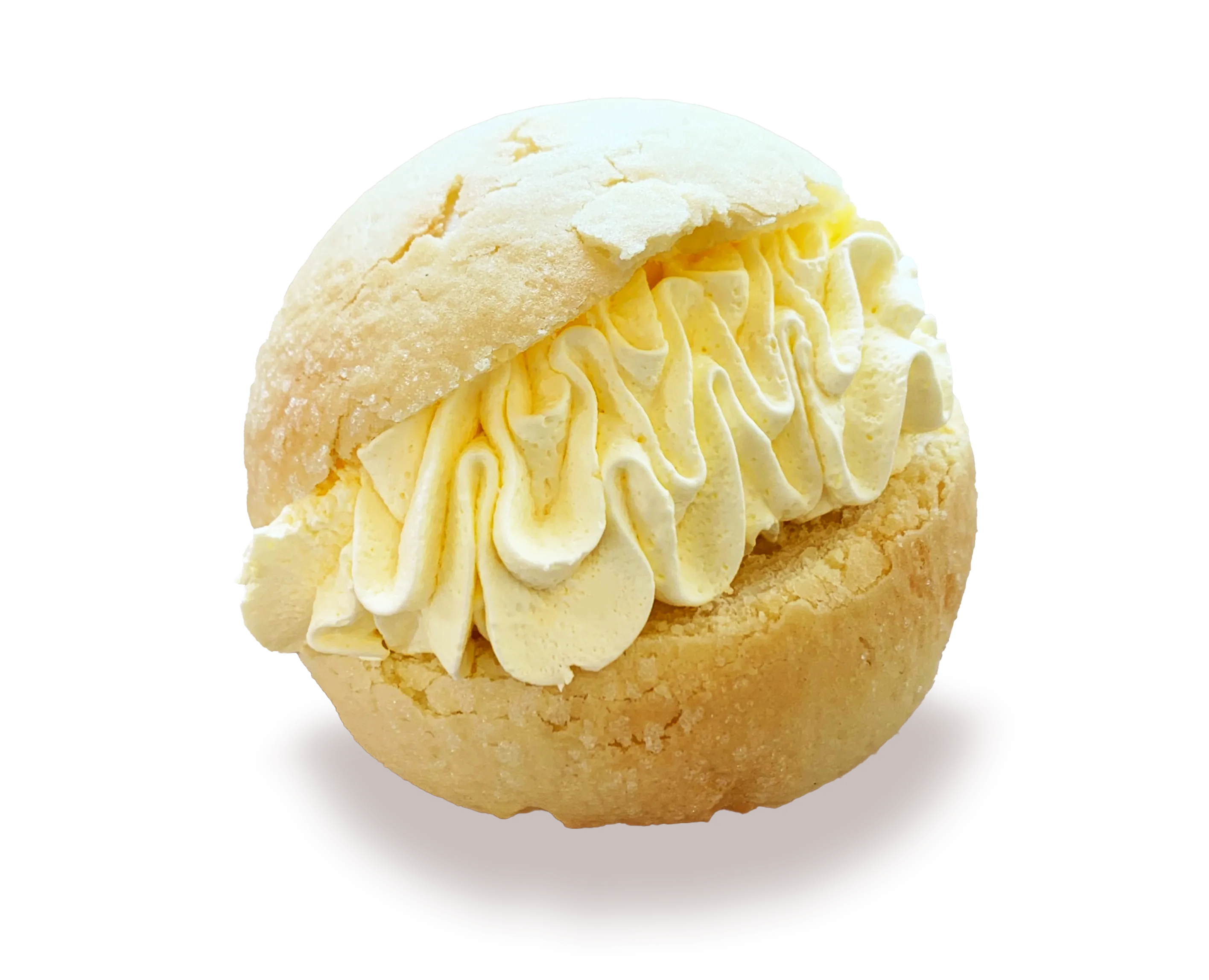 image - 2023-03-31T162947.307.webp