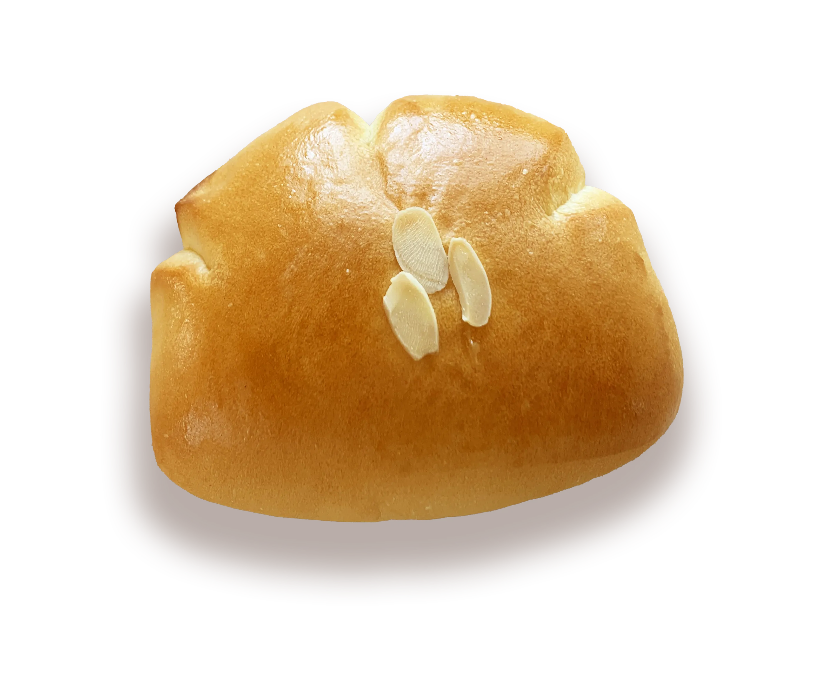 image (79).webp
