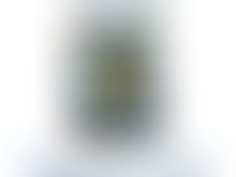 Visit from the Wonderworking Icon of the Theotokos – Hawaiian Iveron Icon to Visit St. Nichola