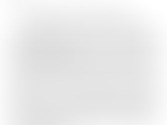 PRESS RELEASE OF THE SERBIAN ORTHODOX DIOCESE OF EASTERN AMERICA