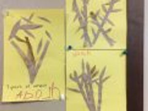 23 Sunday after Pentecost