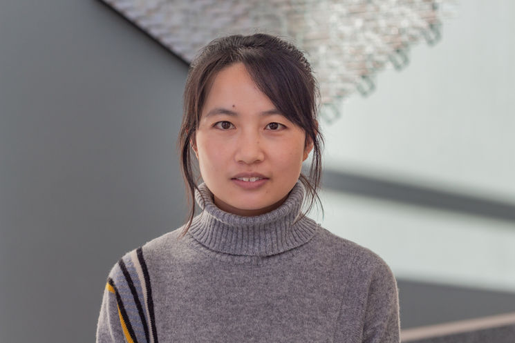 HaiyanLu-3.jpg