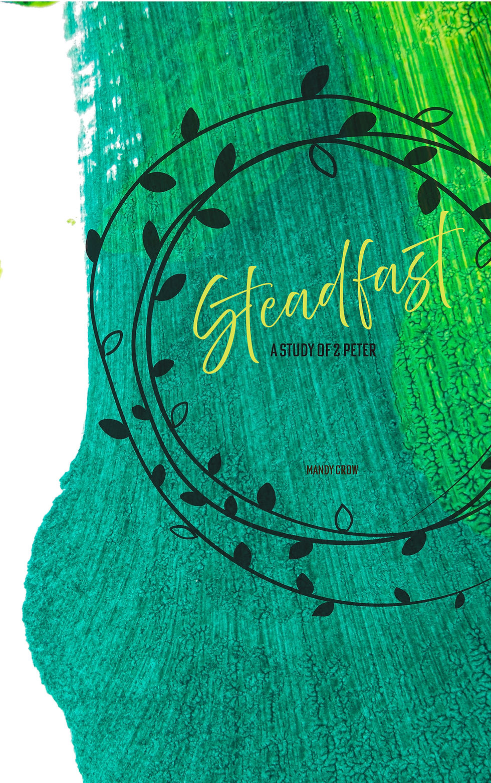 cover of the paperback version of Steadfast