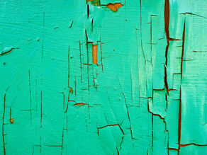 Steadfast Day 13: 2 Peter 2:20-22