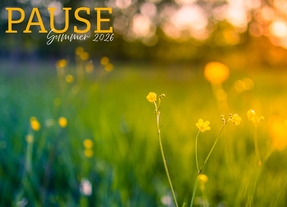 PAUSE summer 2026 over a dreamy, sunlit meadow with blurred yellow wildflowers and warm bokeh.