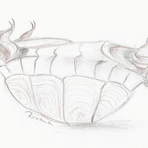 יציאה מתקיעות