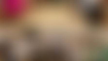 Compromisso renovado com a participação social em Nilo Peçanha