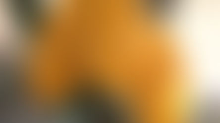 Encontro Cacau 500@ + Sustentável debate novas tecnologias e aumento da produtividade