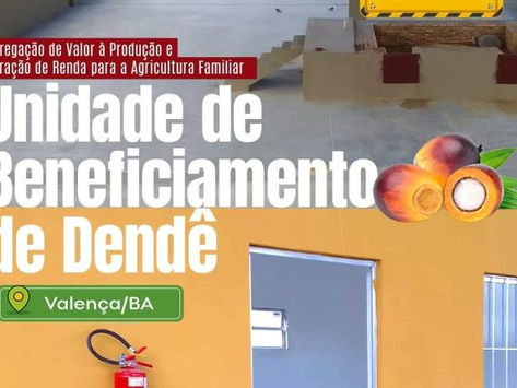 VALENÇA: Unidade de Beneficiamento de Dendê está quase pronta