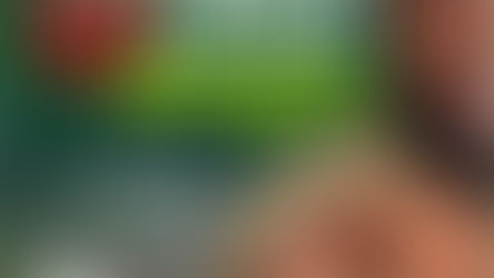 Vacina contra a dengue já está disponível nas Unidades de Saúde, em Nilo Peçanha