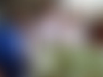 BAHIA: Mulheres são maioria nas ações de voluntariado do Estado