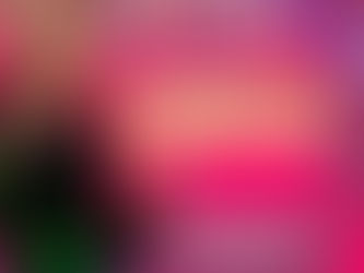 NILO PEÇANHA: Município anuncia programação de Carnaval nas comunidades