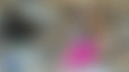 MPBA cobra ações de proteção a animais abandonados e discute criação de Centro de Zoonoses em Itacaré