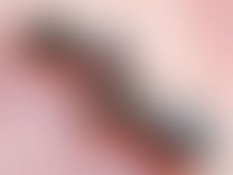 10 municípios do Baixo Sul possuem casos de Febre Oropouche