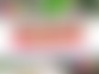 N.PEÇANHA: Reinauguração da Arena Fernandão agita São Benedito neste domingo (19/05)