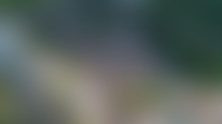 Nilo Peçanha celebra 152 anos de história com programação especial, entrega de novos veículos e ato cívico