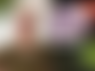 Do quilombo para a mesa: Gastronomia ancestral e empreendedorismo feminino fortalecem a renda no Baixo Sul