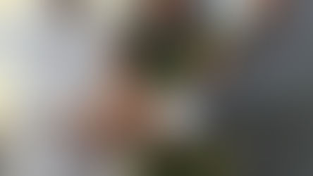 NILO PEÇANHA: Convênio com a CERB vai levar água para mais de 150 famílias da zona rural