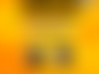 Biblioteca Central do Estado celebra o Dia Mundial do Braille com Roda de Conversa