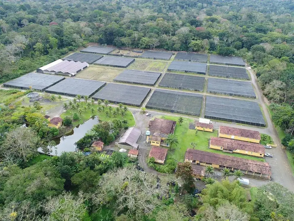 Biofábrica da Bahia rebate acusações da presidente da ANPC e denuncia invasão em área de segurança fitossanitária