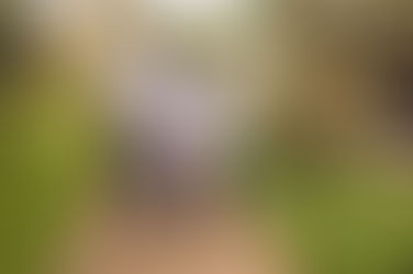 PTN - Casa Familiar Rural receberá nesta quarta (29) prêmio da Rede Globo, após a novela Pantanal