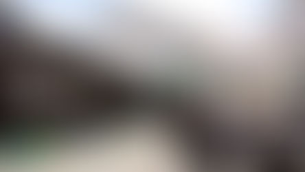 Governo do Estado fortalece acesso à cultura e à literatura na 9ª edição da Flipelô