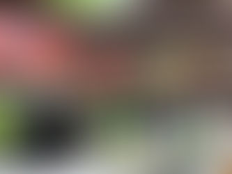 Bahia estará presente na maior feira de fruticultura da América Latina