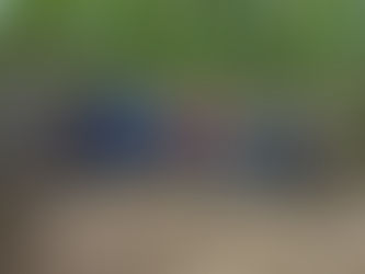 W. GUIMARÃES - Dia de Campo beneficiou quinze produtores do Cocão com técnicas inovadoras