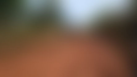 NILO PEÇANHA: Prefeitura conclui recuperação da estrada que liga a sede ao Povoado de São Benedito (KM 5)