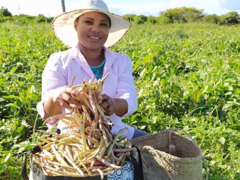 Garantia Safra: agricultores familiares já podem fazer inscrição