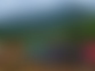 W.Guimarães: Curso de bananicultura ensina técnicas de cultivo de Banana da Terra para agricultores