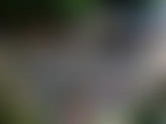 W.GUIMARÃES: Mês das Mães é finalizado com festa promovida pela Assistência Social