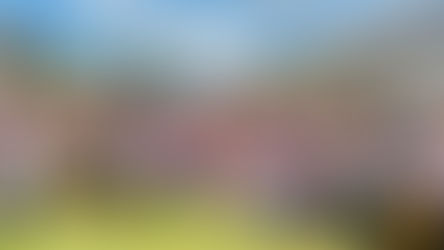 Formatura do PROERD 2025 emociona Nilo Peçanha e reúne comunidade em celebração à educação e à prevenção