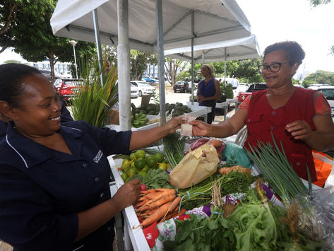 Projeto baiano é eleito o melhor do mundo pelo Fundo Internacional de Desenvolvimento Agrícola