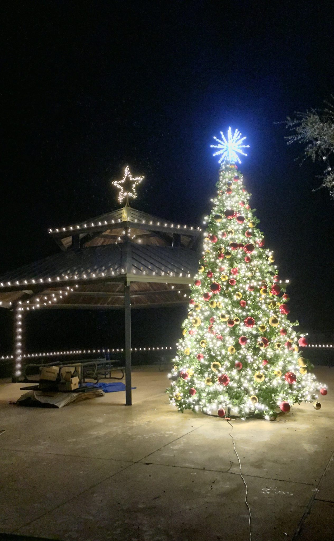 Denton Christmas Lights TX 76209 Denton County Christmas Lights