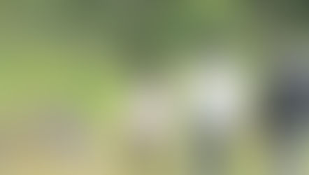 Aventura a lo desconocido.