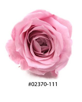 02370-111__B.jpg