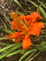 image3.jpeg