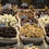 Miniatura: Chocolates surtidos