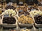 Bonbon Assortment