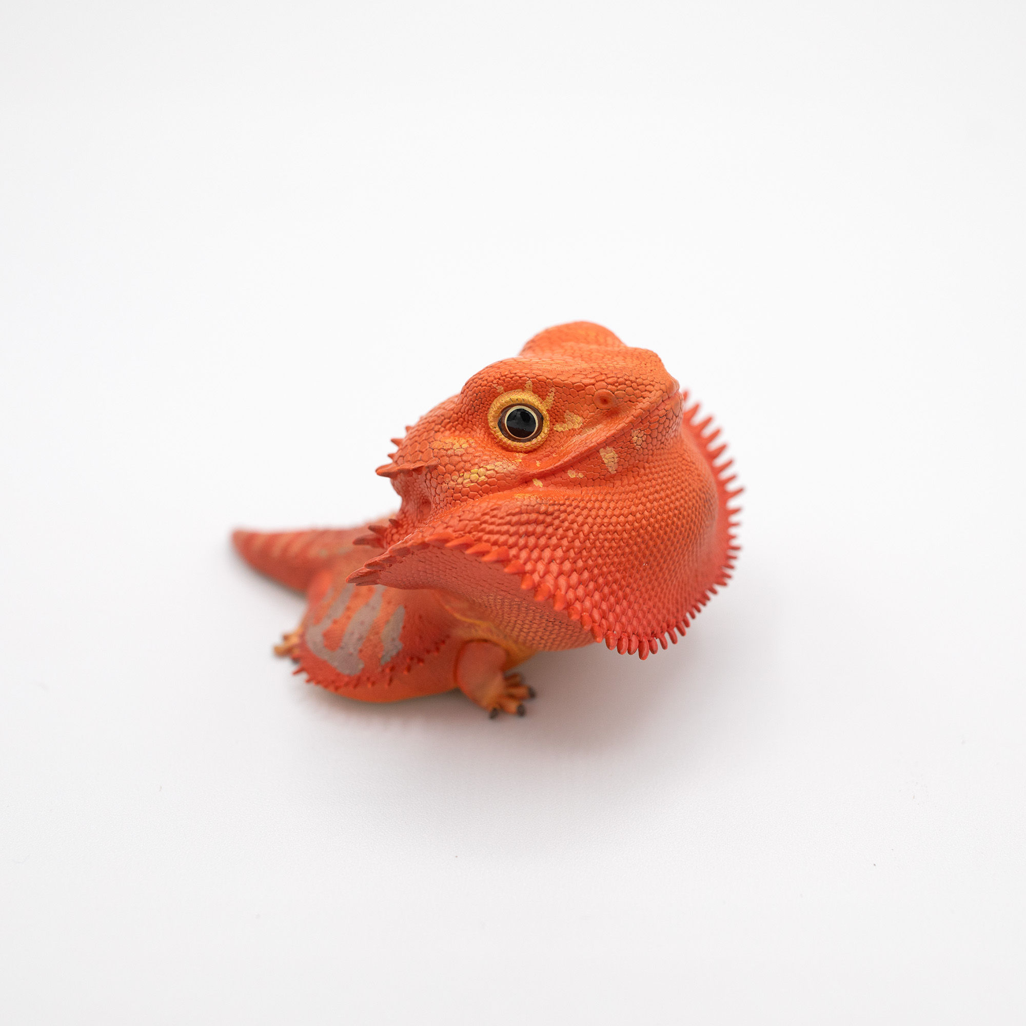 Red Bearded Dragon Figurine