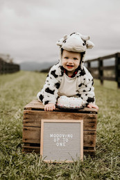 cowphotoshoot.jpeg