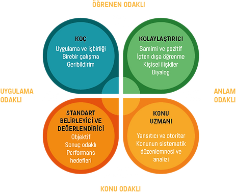 eğitici roll profilleri