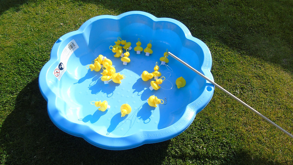 DSC06139.jpg