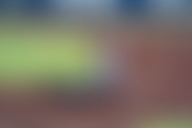 Unión Laguna se lleva la serie contra los Rieleros