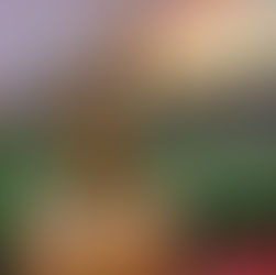 Gros changements à Disney World en 2023