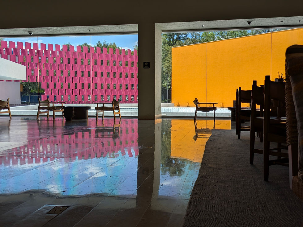 Contraste de colores, acentuados por el reflejo del piso