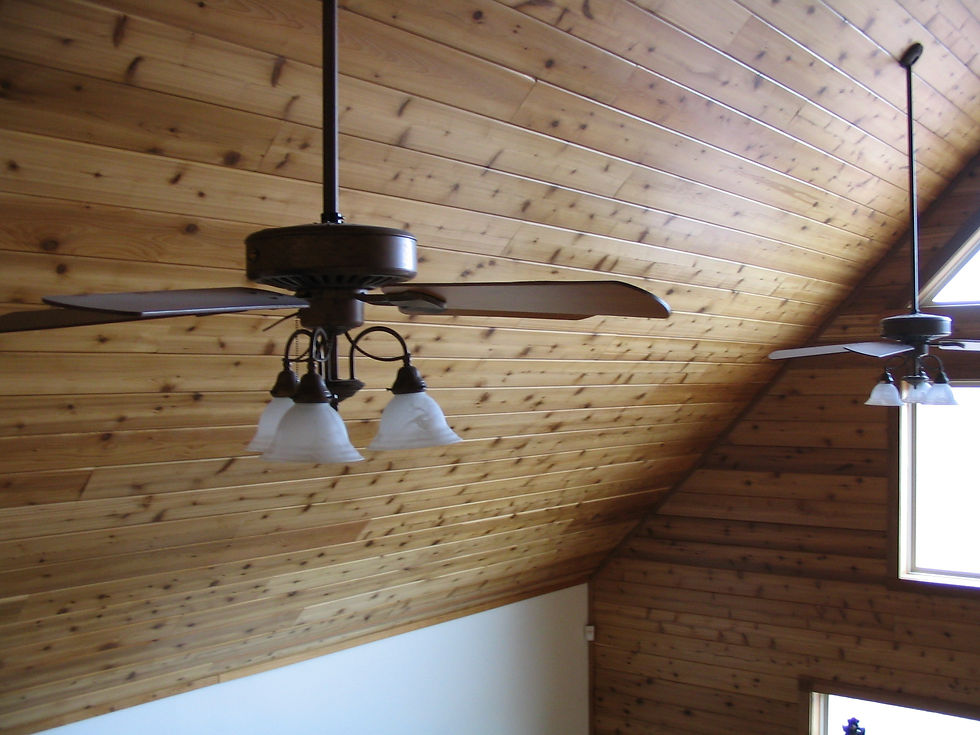 3-9-04 Augustine 022