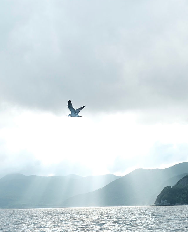 10周年記念イベントが コンドル樹脂ワックス スーパープレジデム 18l 山崎産業 店舗 オフィスビル 商業施設 ホテル Appelectric Co Il 10周年記念イベントが コンドル樹脂ワックス スーパープレジデム 18l 山崎産業 店舗 オフィスビル 商業施設 ホテル Appelectric Co Il