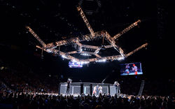 mma_ufc-155_23.jpg